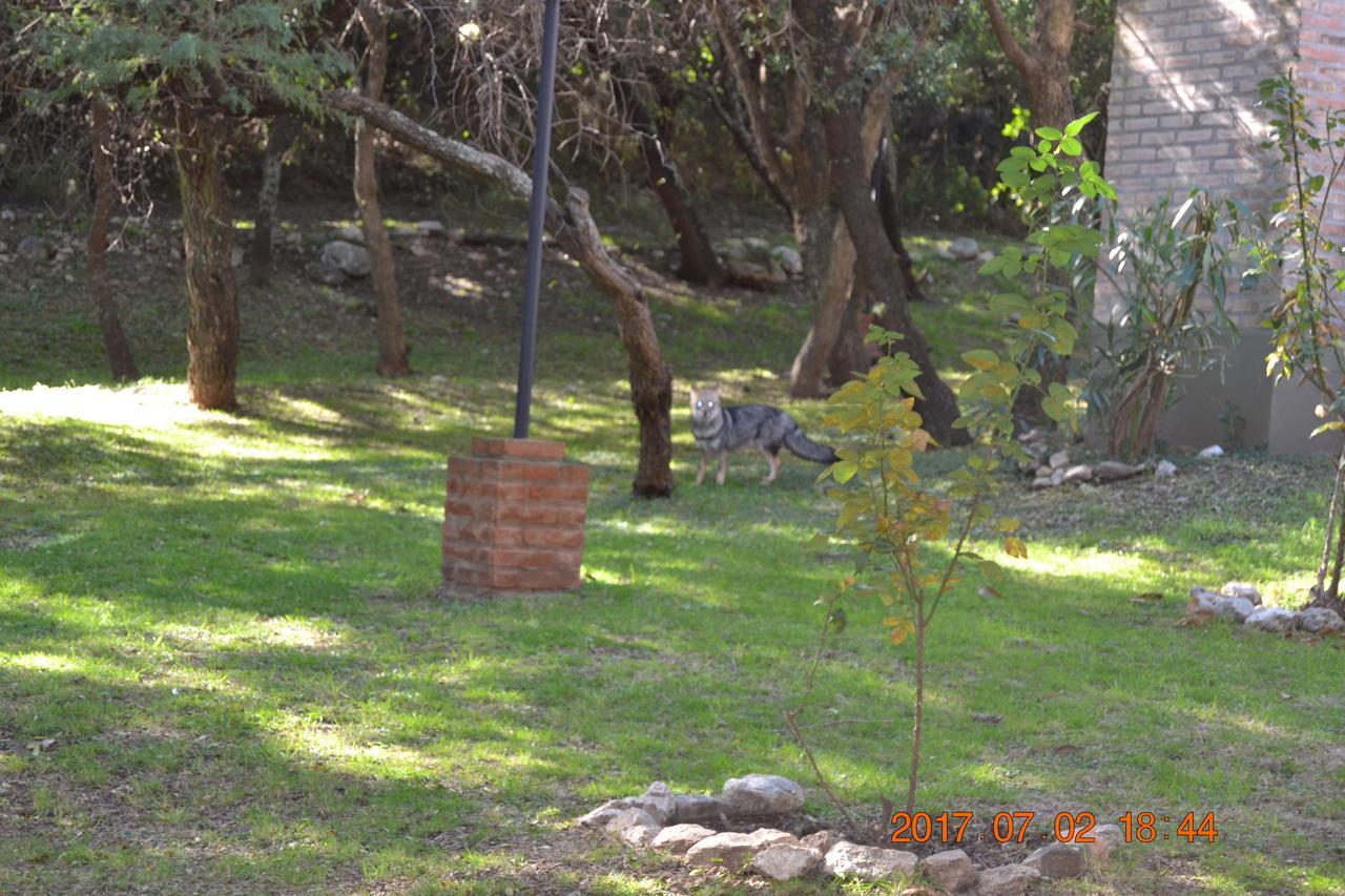 Cabanas Del Bosque Villa Villa de Merlo ภายนอก รูปภาพ